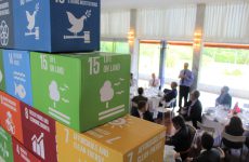 sustentabilidade no brasil diálogos nórdicos
