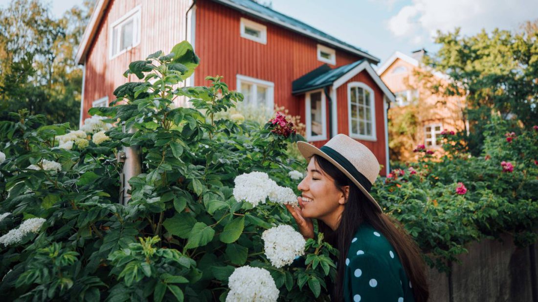 Lições de felicidade: finlandeses criaram o programa em 2019 para promover o turismo no país