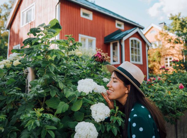 Lições de felicidade: finlandeses criaram o programa em 2019 para promover o turismo no país